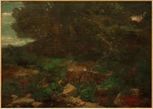 At the Edge of the Forest